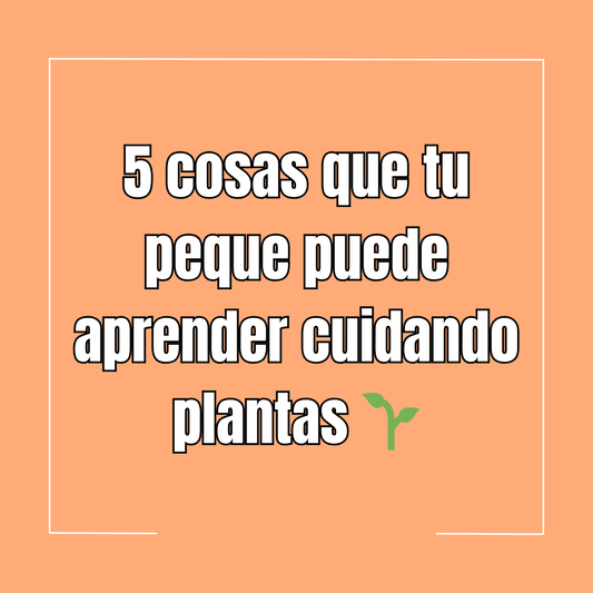 5 cosas que tu peque puede aprender cuidando plantas 🌱