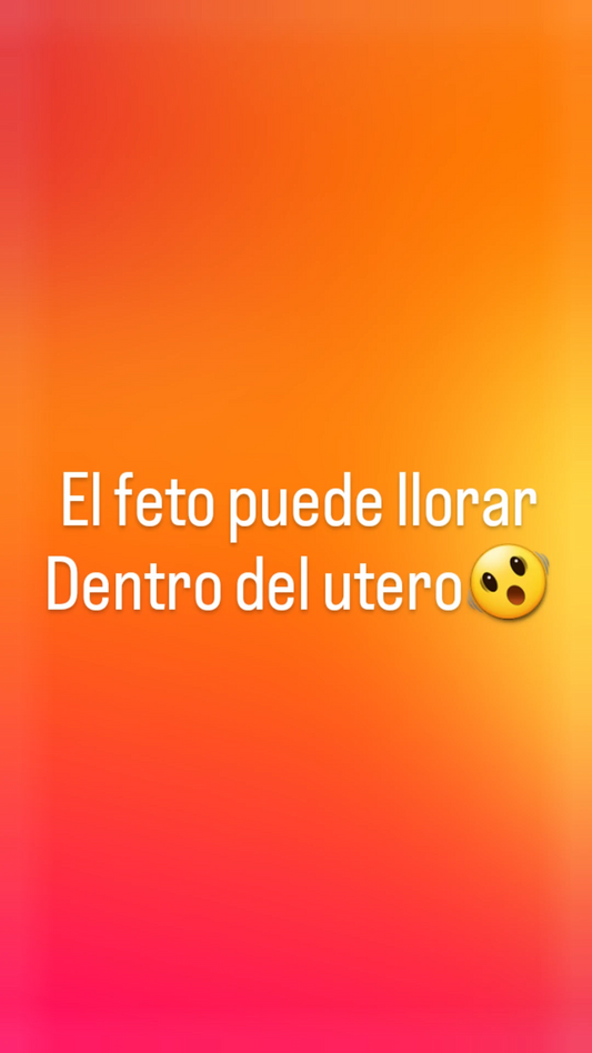 El feto llora dentro del utero