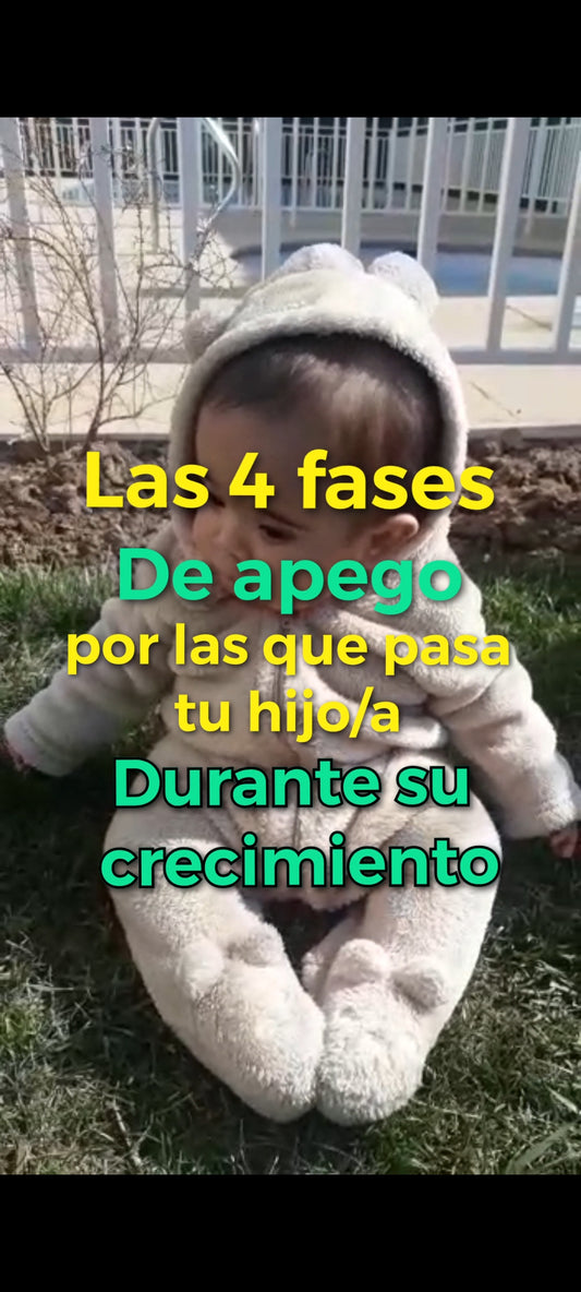 Las 4 fases de apego por las que pasa tu hijo/a durante su crecimiento.