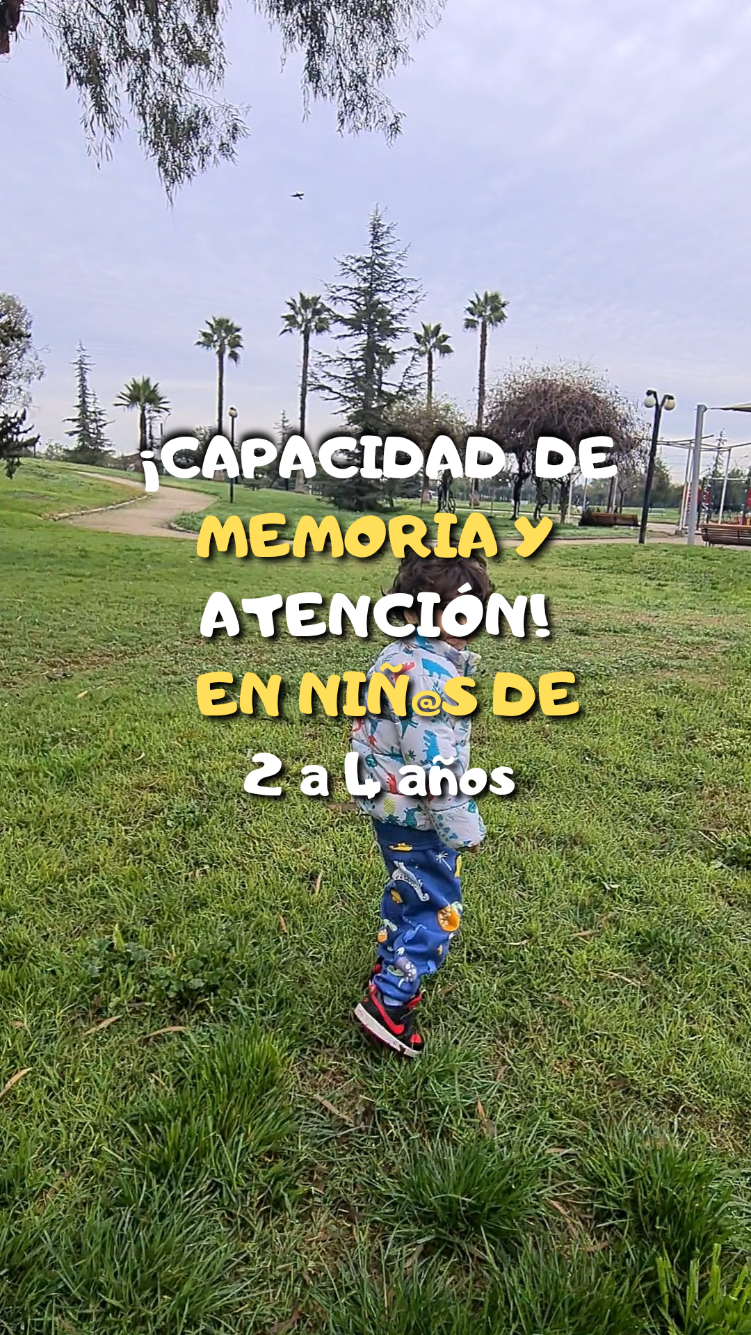 ¡Aumento de la capacidad de atención y de memoria!