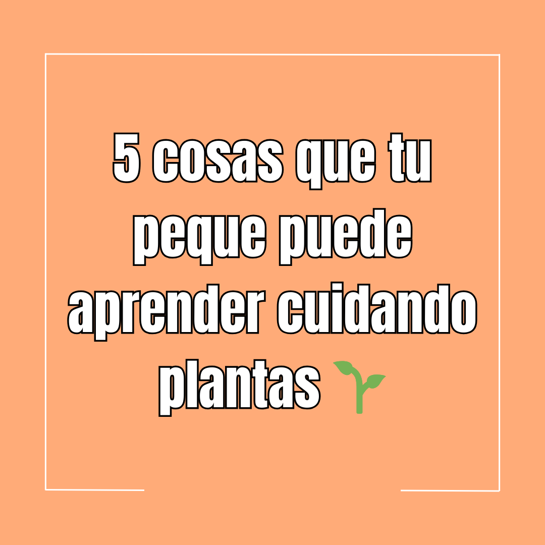 5 cosas que tu peque puede aprender cuidando plantas 🌱
