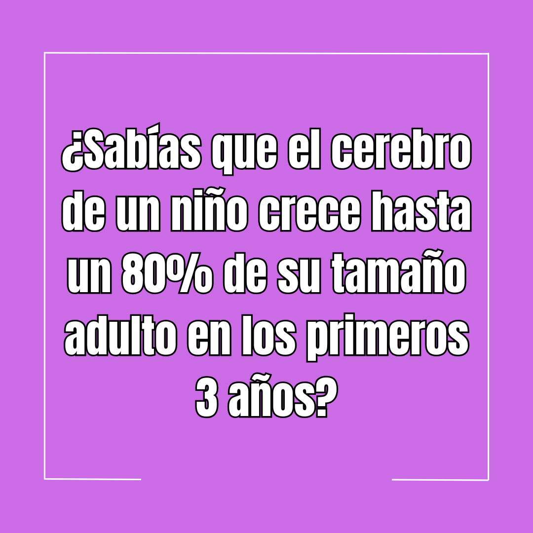 ¿Sabías que el cerebro de un niño crece hasta un 80% de su tamaño adulto en los primeros 3 años?