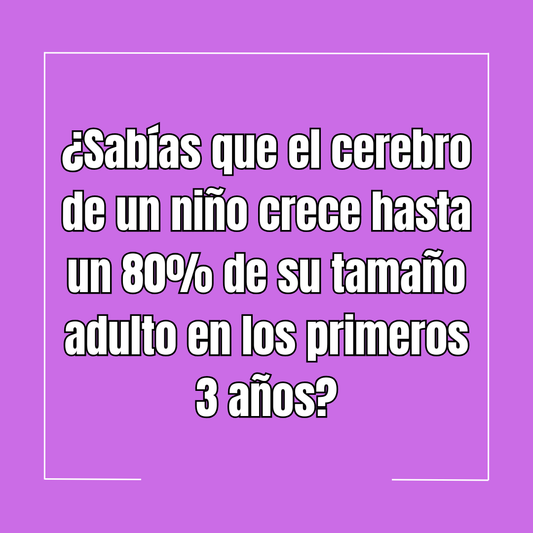 ¿Sabías que el cerebro de un niño crece hasta un 80% de su tamaño adulto en los primeros 3 años?