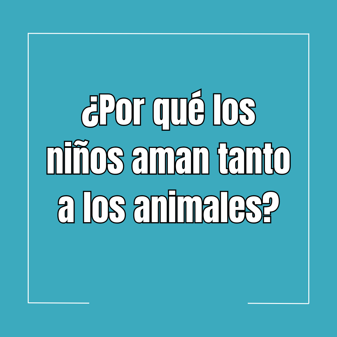 ¿Por qué los niños aman tanto a los animales?🐶🐱