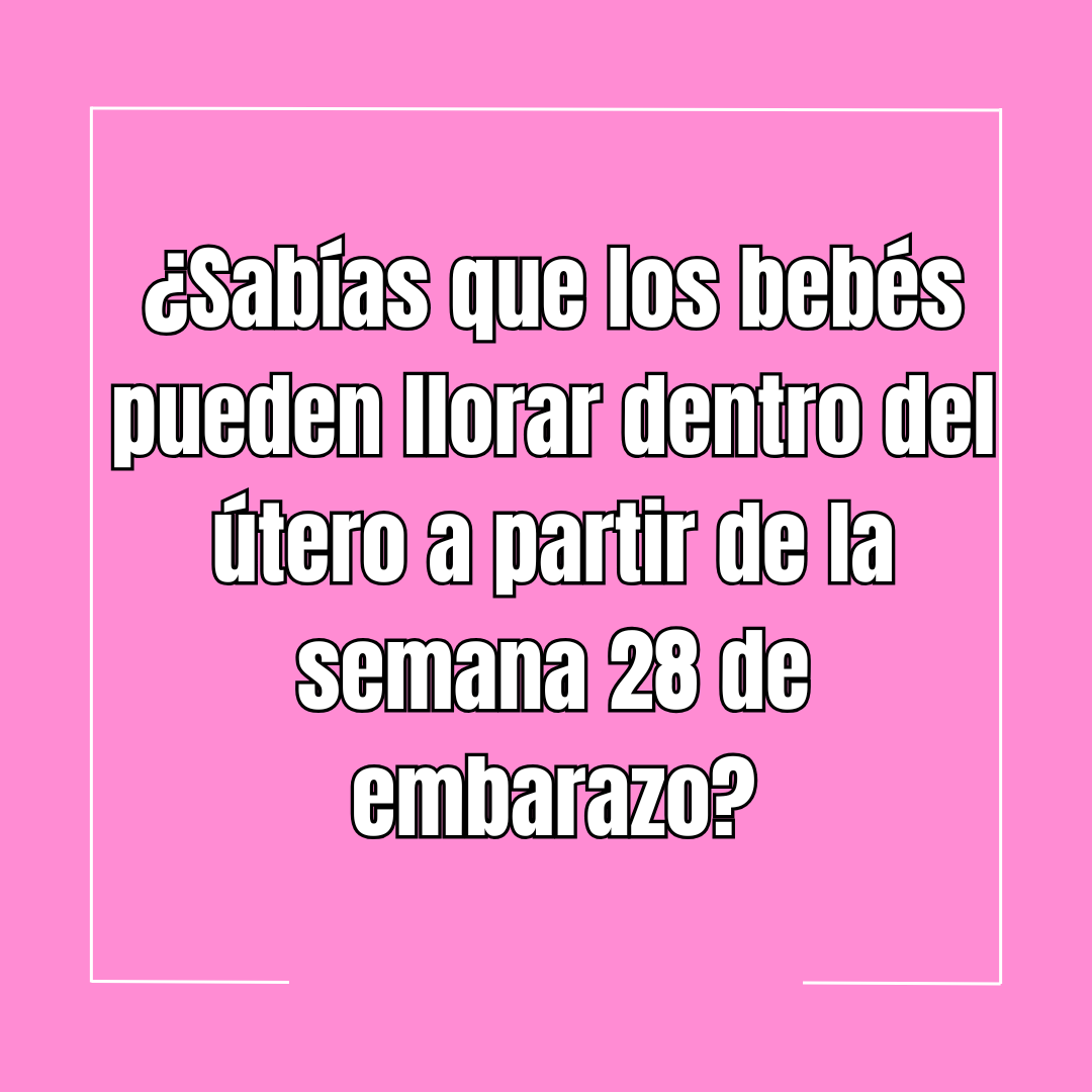 ¿Sabías que los bebés pueden llorar dentro del útero a partir de la semana 28 de embarazo?